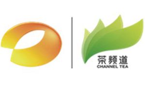 茶频道