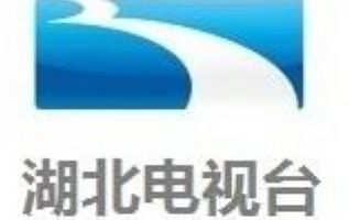 湖北电视台公共频道