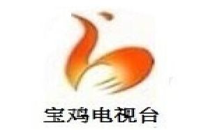 宝鸡电视台二套经济生活频道